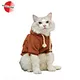 pet carriers for cats